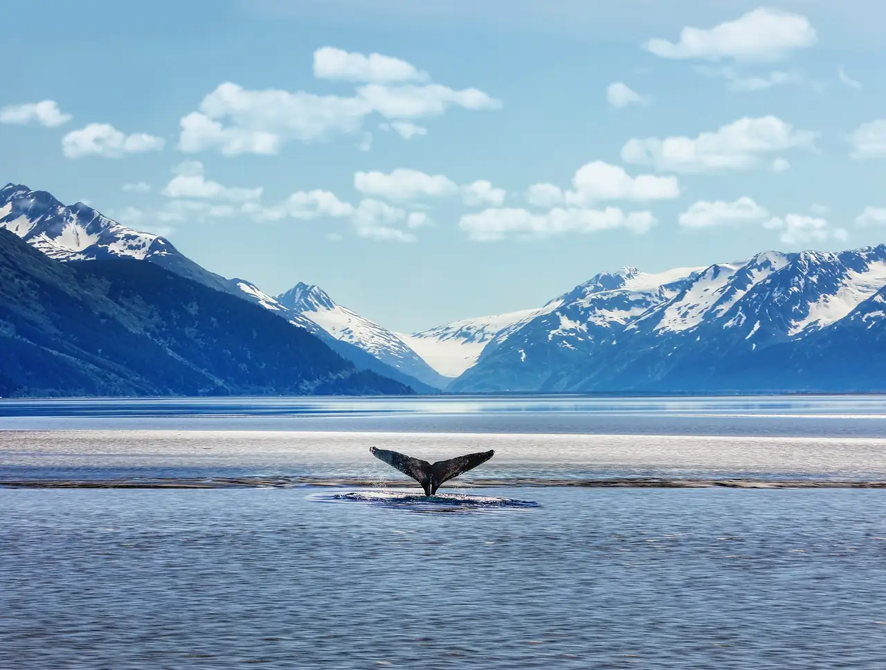 Alaska Is One of Those Places Photos Just Don’t Prepare You For